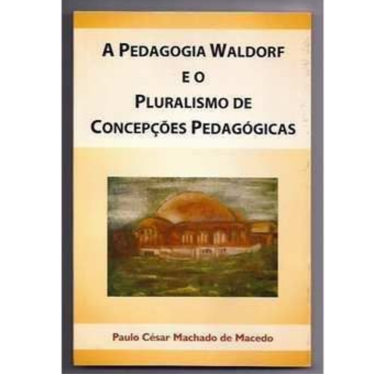 Livro - A pedagogia Waldorf - Paulo Cesar Machado de Macedo (Usado)