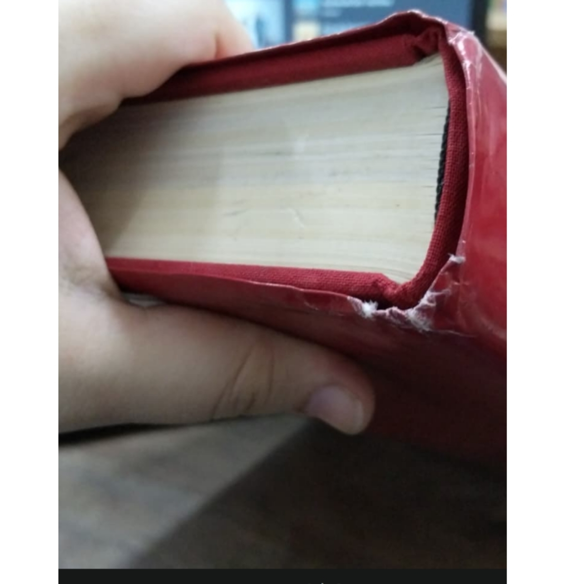 Livro - O Livro Vermelho - Liber Novus - C. G. Jung -Capa dura - (Usado) - Imagem 5