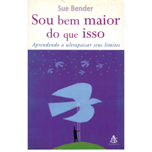 Livro - Sou bem maior do que isso - Sue Bender (Usado)