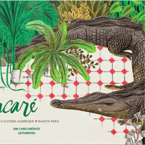 Livro - A Jacaré - Maria Eugenia MAnrique (Seminovo)
