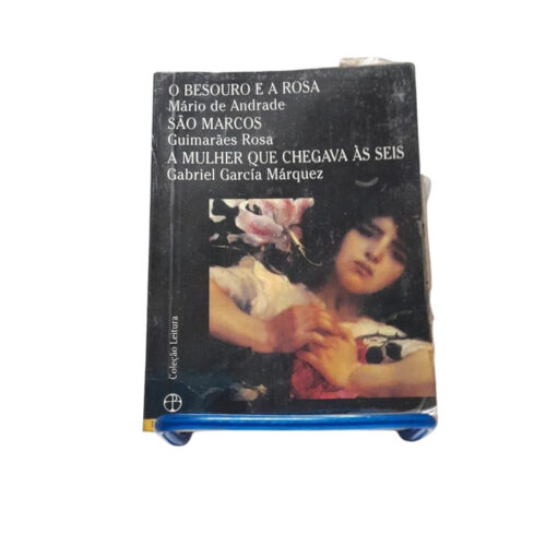 Livro - O Besouro e a rosa - Mario de andrade (Usado)