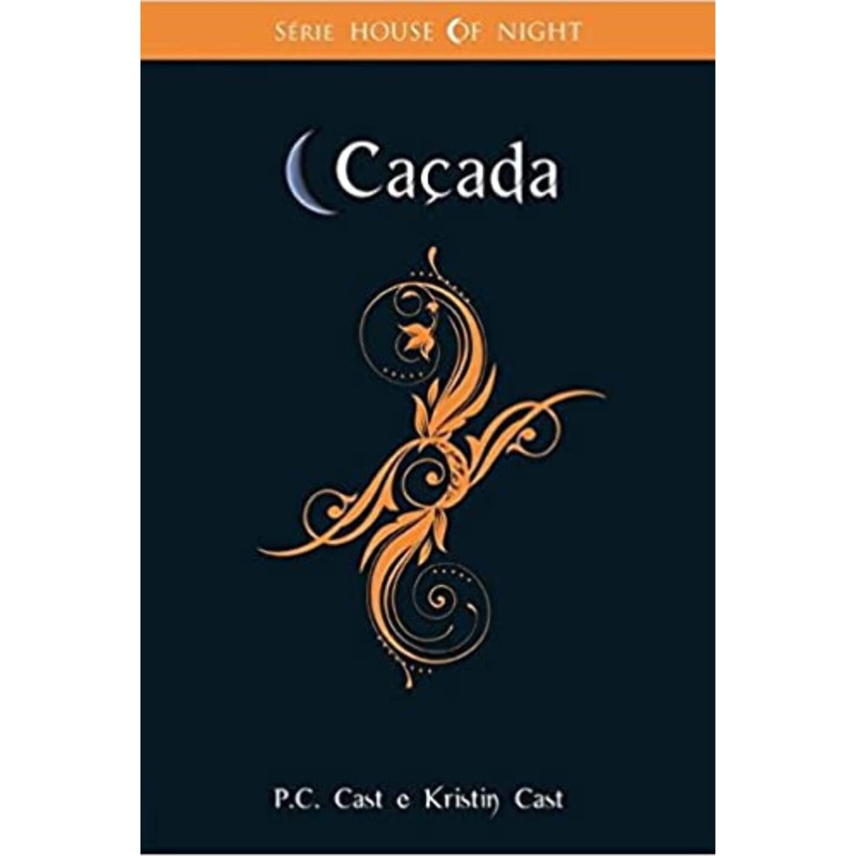 Livro - Destinada -House Of Night Vol. 09 - P. C. Cast (Seminovo) - Imagem 3