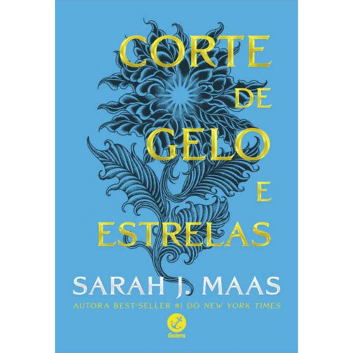Livro - Corte de Gelo e Estrelas - Sarah J. Maas (Seminovo)*