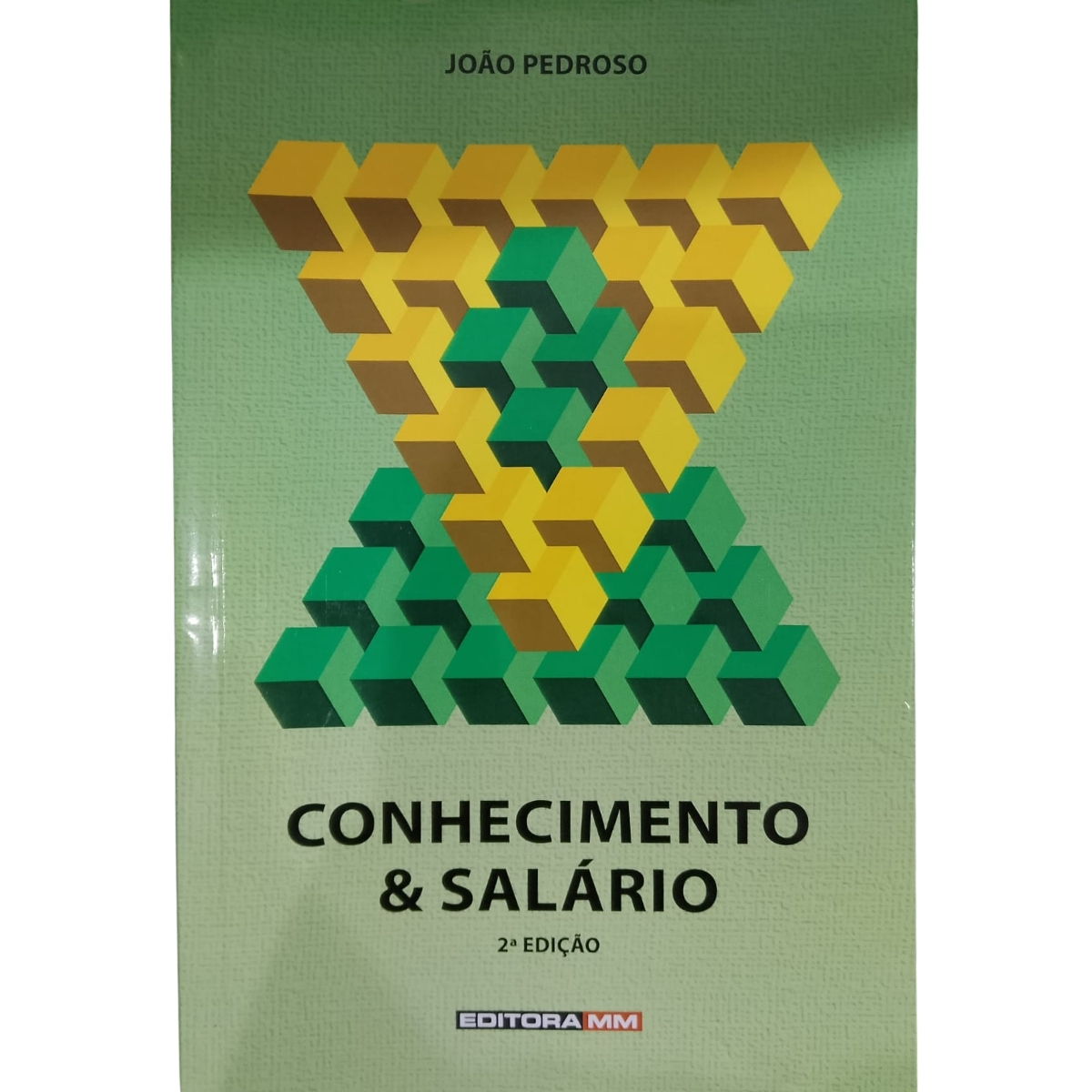 Livro - Conhecimento e Salário - JOão Pedroso (Usado) - Imagem 2