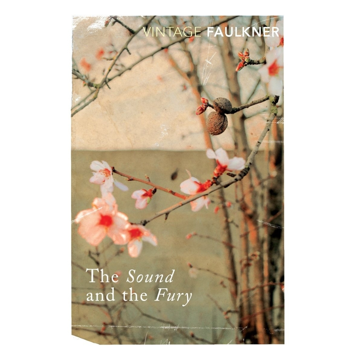 Livro - The Sound And the Fury - William Faulkner (Usado) - Ingles - Imagem 3