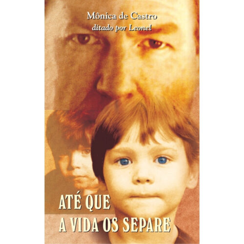 Livro - Até que a vida os Separe - Mônica de Castro (Usado)