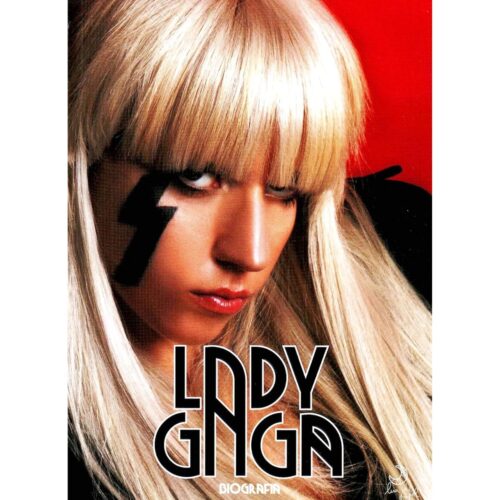 Livro - Biografia - Lady Gaga (Usado)