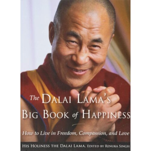 Livro - Big Book of Happiness - Dalai Lama (Usado) - Inglês