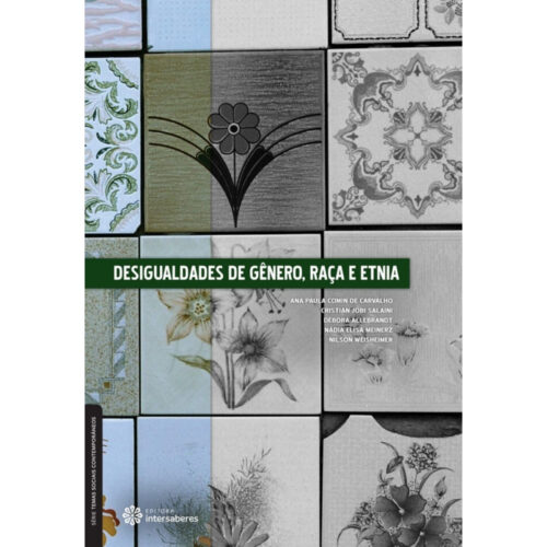 Livro - Desigualdades de Genero Raça e Etnia - Ana Paula Comin de Carvalho (Usado)
