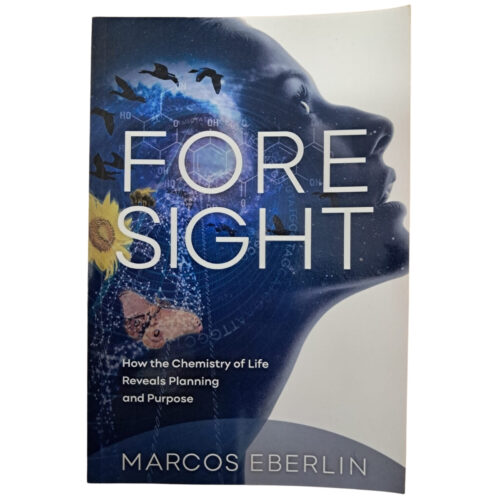 Livro - ForeSight - Marcos Eberlin (Usado) - Inglês