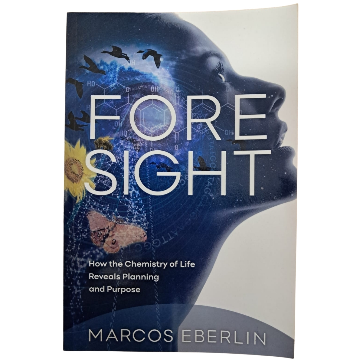 Livro - ForeSight - Marcos Eberlin (Usado) - Inglês