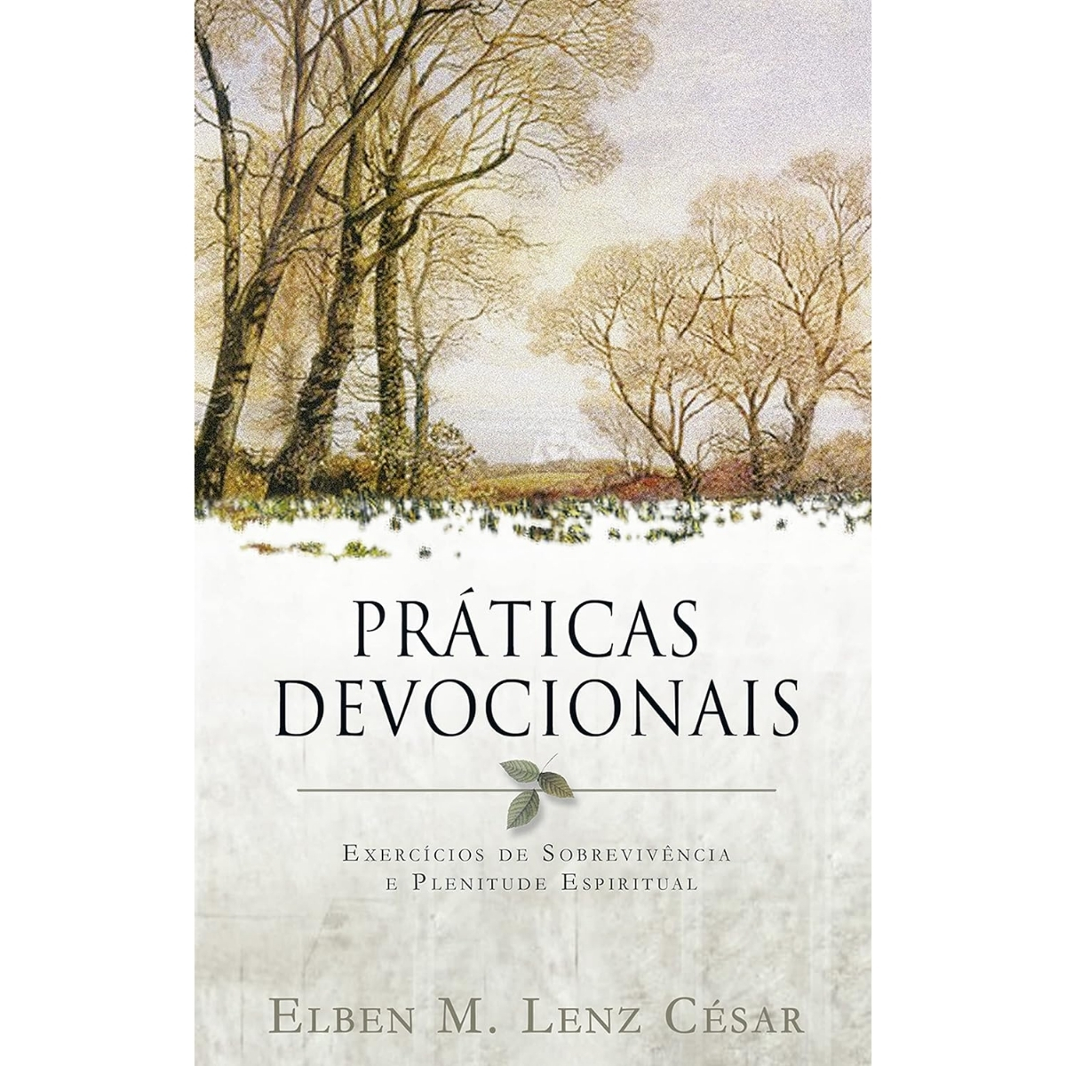 Livro - Praticas Devocionais - Elben M. Lenz César (Usado) - Imagem 2