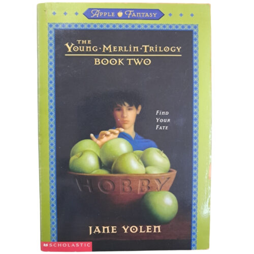 Livro - The Young Merlin Trilogy Book Two - Jane Yolen (Usado) - Inglês