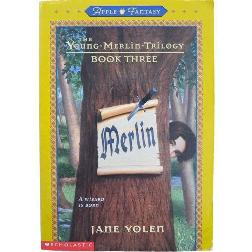 Livro - The Young Merlin Trilogy Book Three - Jane Yolen (Usado) - Inglês