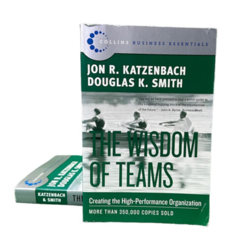 Livro - The Wisdom of Teams - Jon R. Katzenbach (Usado) - Inglês