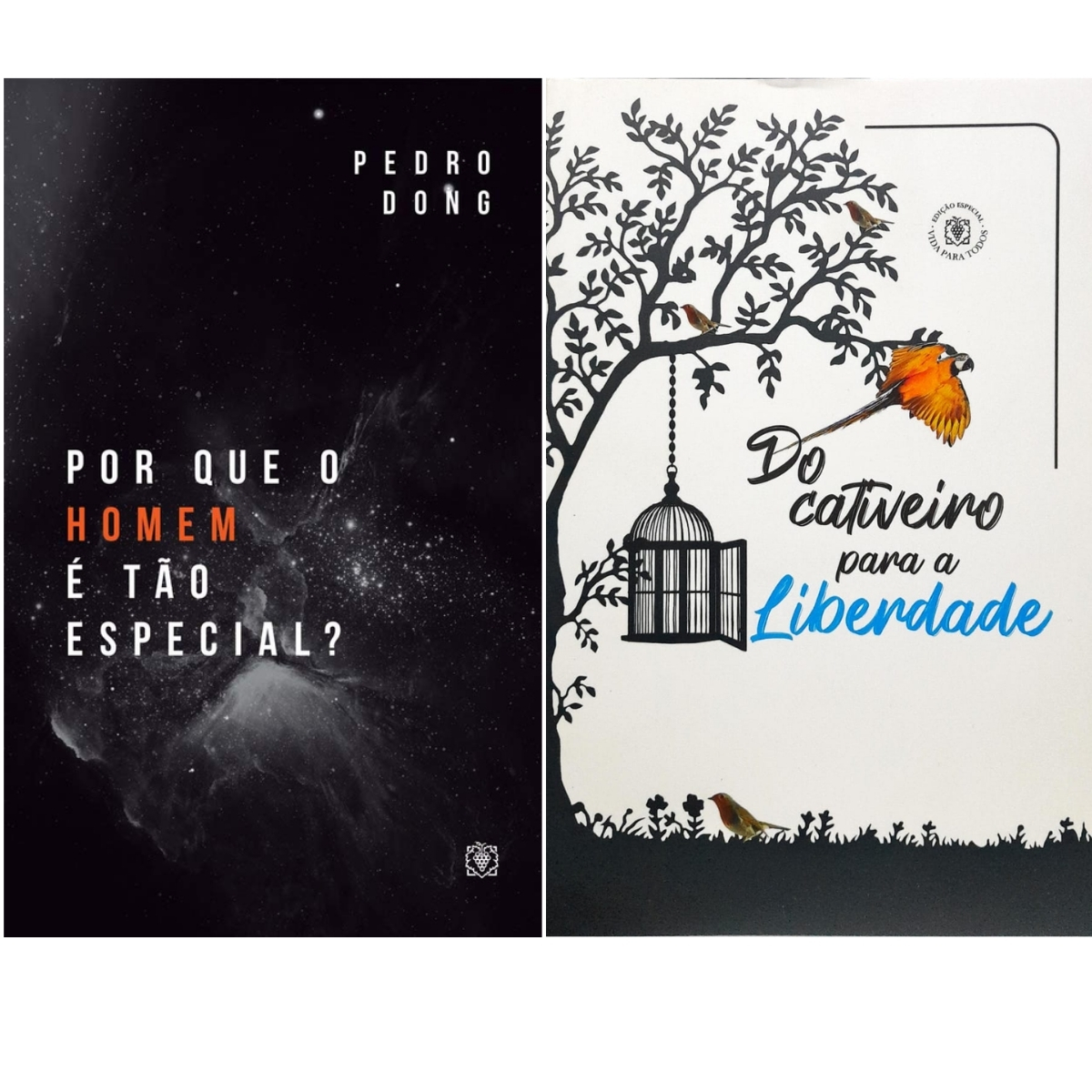 Livro - Do Cativeiro para liberdade - Pedro DOng (Seminovo)