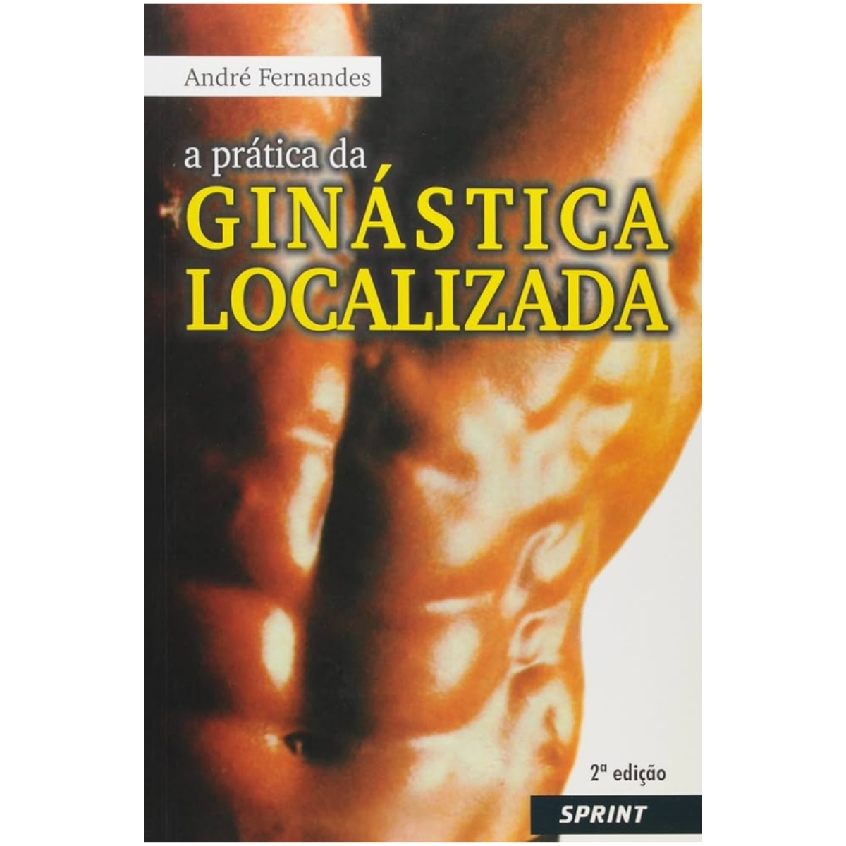 Livro - A Prática da Ginástica localizada - André Fernandes (Usado) - Imagem 2