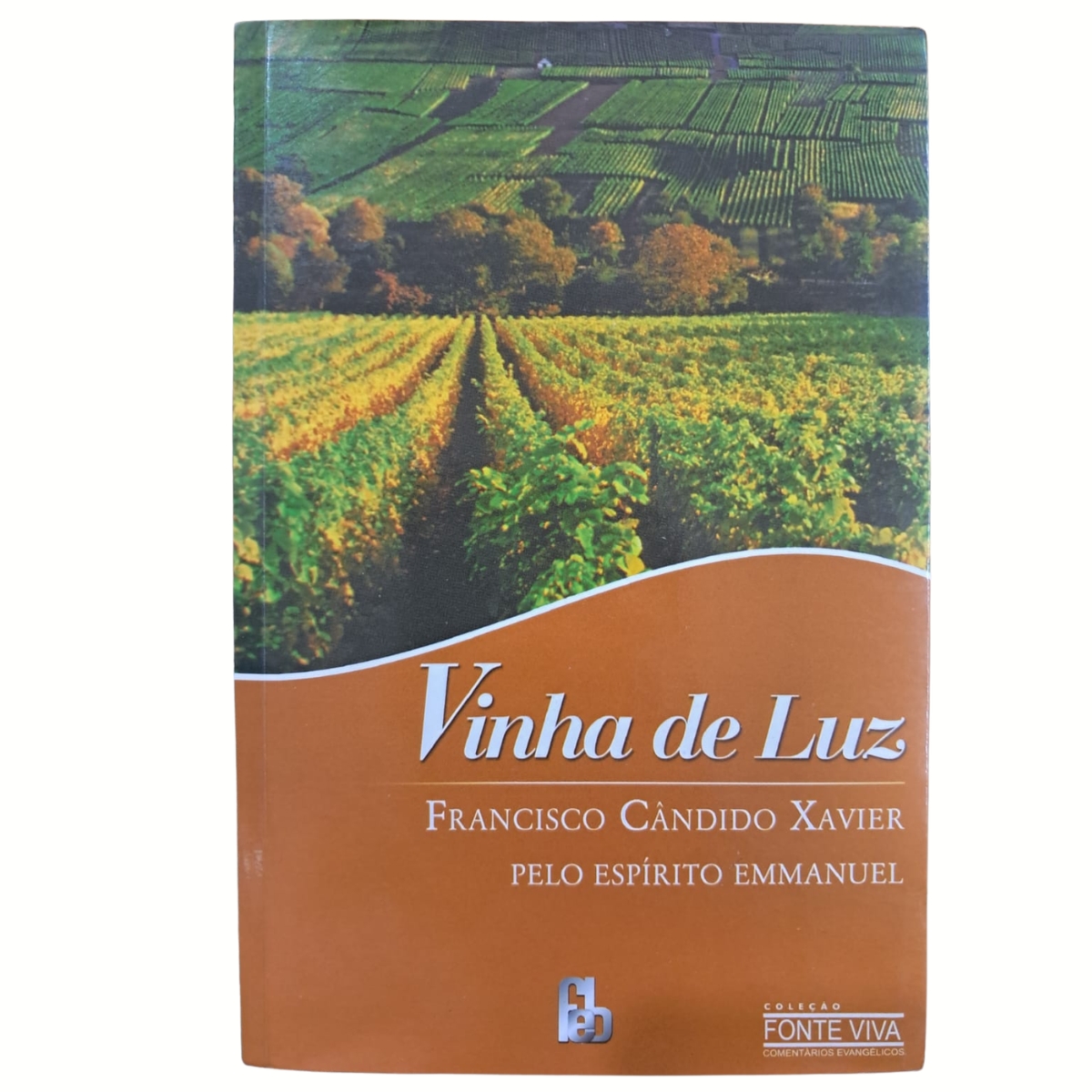 Livro - Vinhas de Luz - Francisco Candido Xavier (Usado)