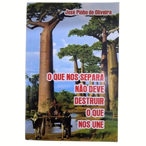Livro - O que nos separa não deve destruir o que nos une - José Pinho de Oliveira (Usado)