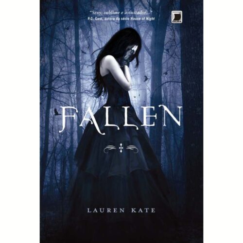 Livro - Fallen - Lauren Kate (usado)