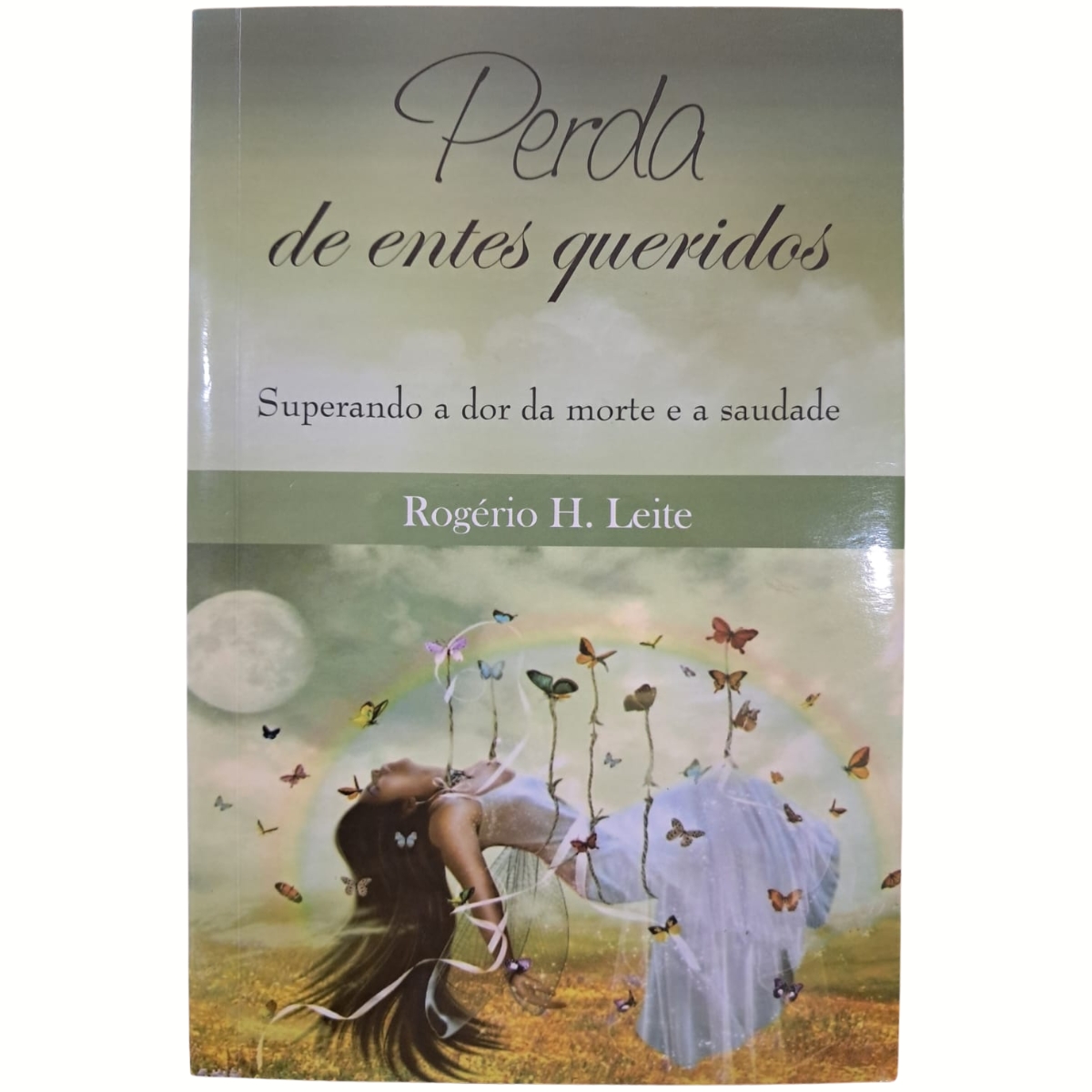 Livro - Perda de entes queridos - Rogério H. Leite (Seminovo)