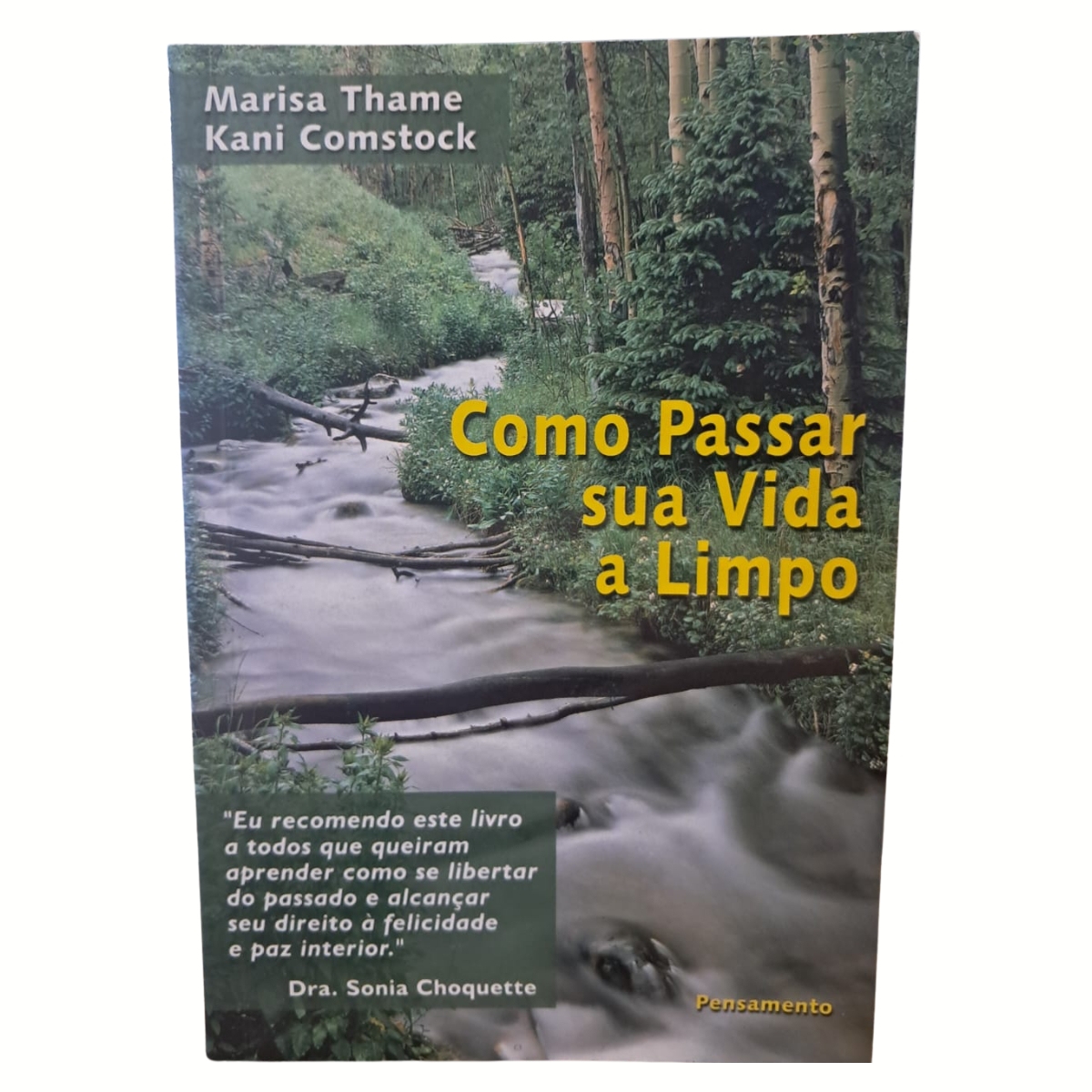 Livro - Como passar sua vida a limpo - Marisa Thame (Usado) - Imagem 3