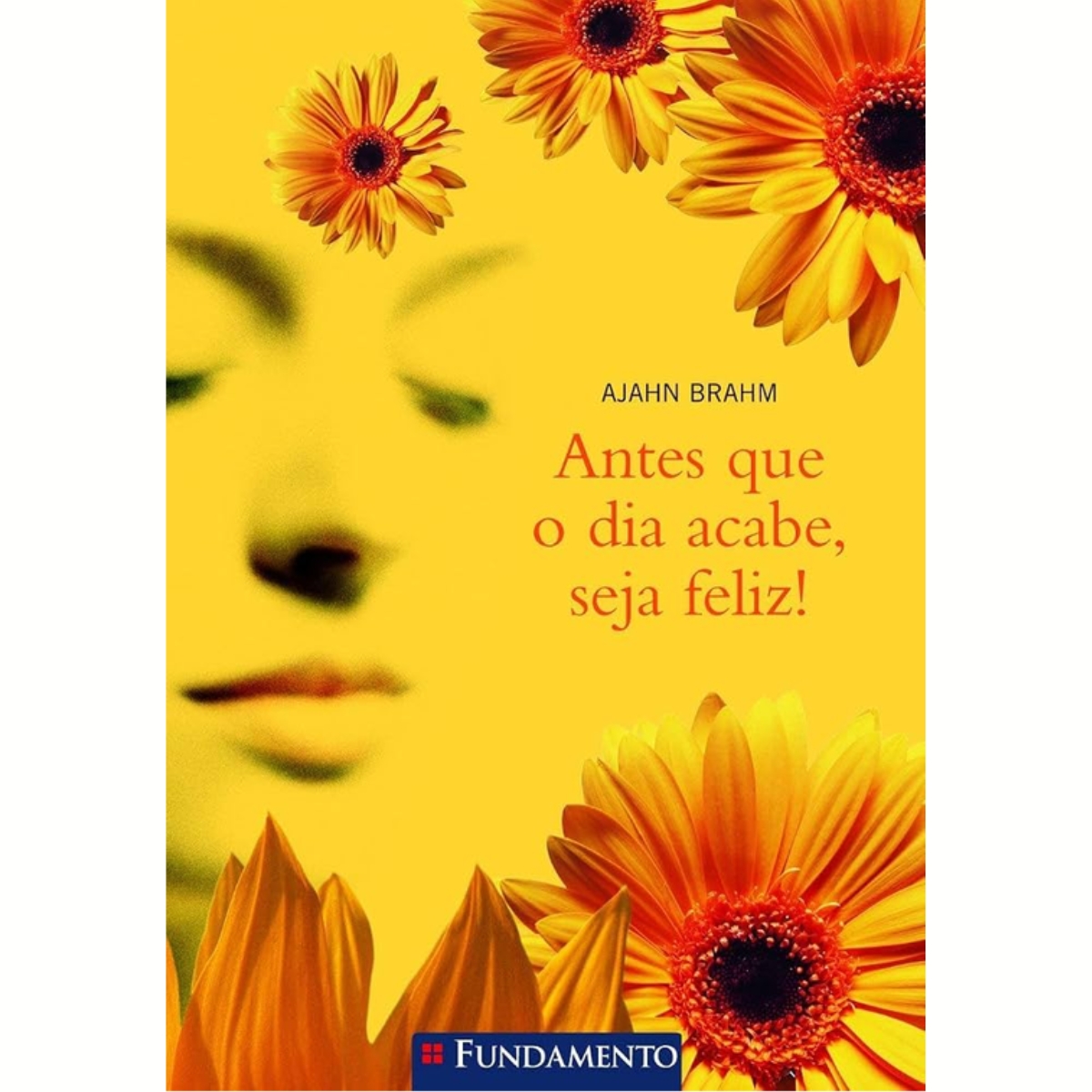 Livro - Antes que o dia acabe seja Feliz - Ajahn Brahm (Usado) - Imagem 2