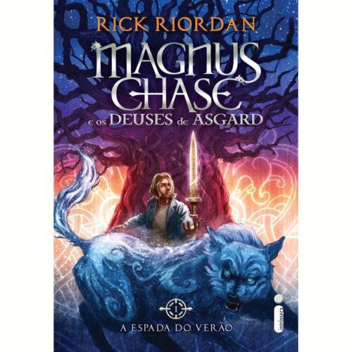 Livro - Magnus Chase  e os deuses de Asgard - Rick Riordan (Usado)