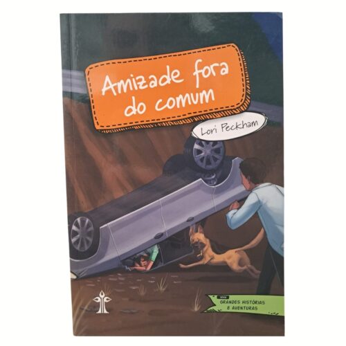 Livro - Amizade fora do Comum - Lori Peckham (Usado)