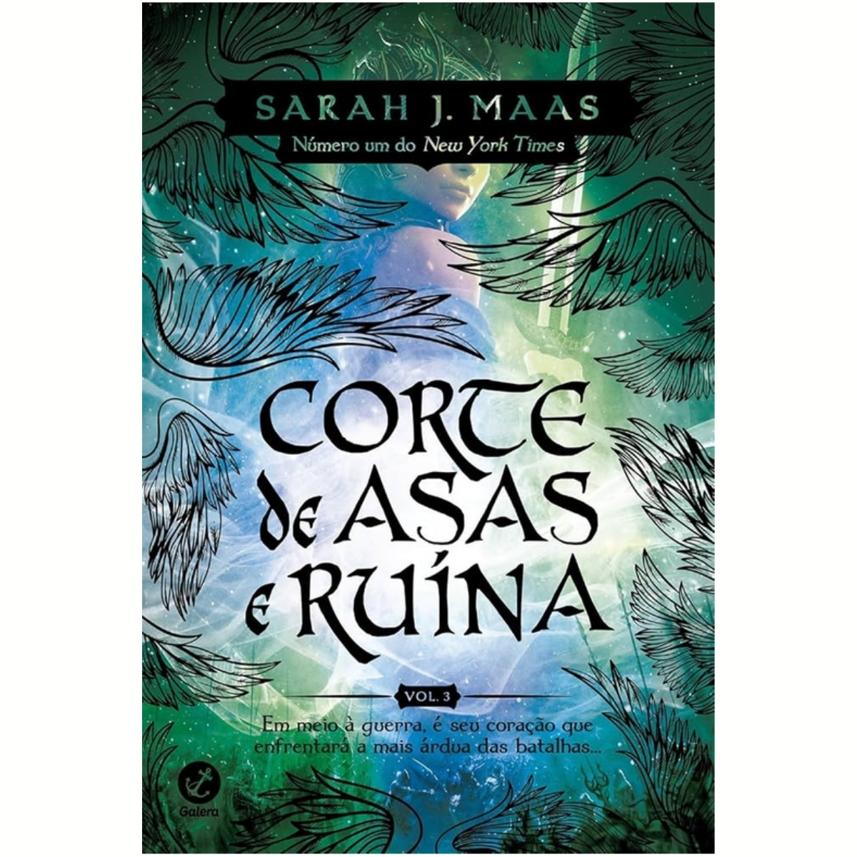 Livro - Corte de Asas e ruínas - Sarah J. Maas (Seminovo) * - Imagem 2