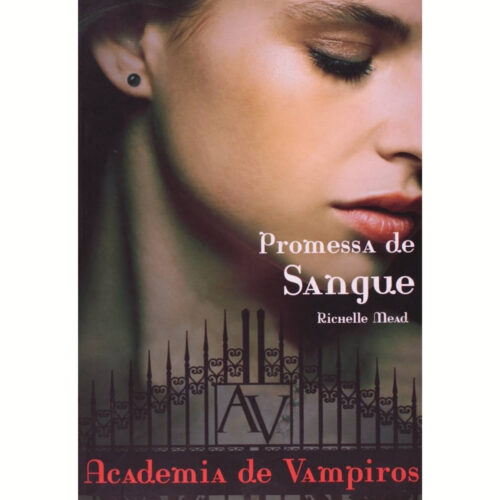 Livro - Promessa de sangue - Academia de vampiros Vol. 04 -  Richelle Mead (Usado)