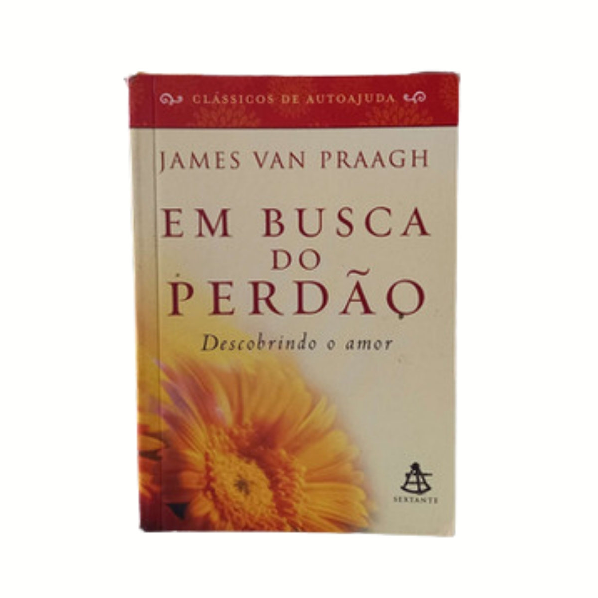 Livro - Em busca do Perdão - James Van Praagh (Usado) - Imagem 2