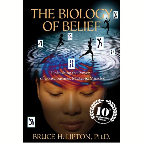 Livro - The Biology of Belief - Bruce H. Lipton (Usado)  - Inglês