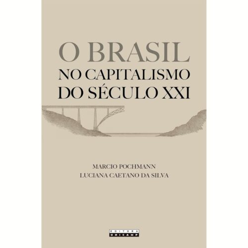 Livro - O Brasil no capitalismo do Século XXI - Marcio Pochmann (Usado)