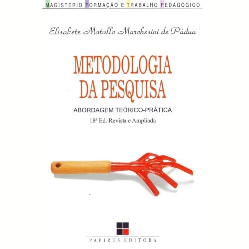 Livro - Metodologia de Pesquisa: Abordagem Teórico-prática - Elisabete Matallo Marchesini de Pádua (Usado)