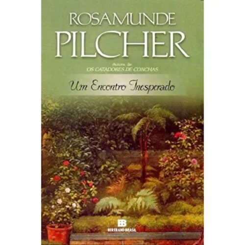 Livro - Um Encontro Inesperado - Rosamunde Pilcher (Usado)