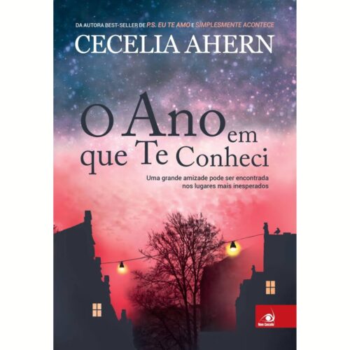 Livro - O Ano em que te conheci - Cecelia Ahern (Usado)